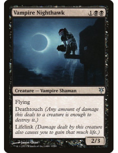 Vampire Nighthawk