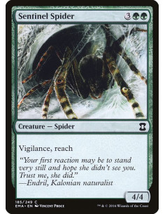 Sentinel Spider