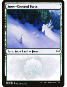 Snow-Covered Forest