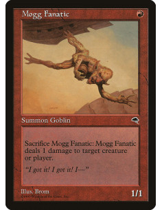 Mogg Fanatic
