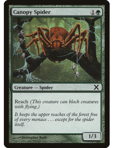 Canopy Spider