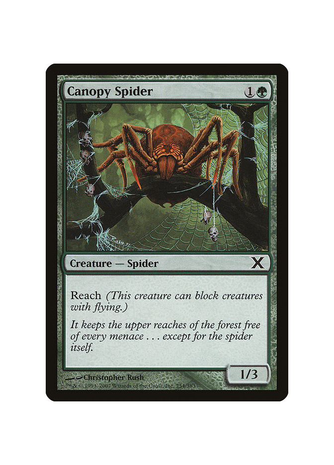 Canopy Spider