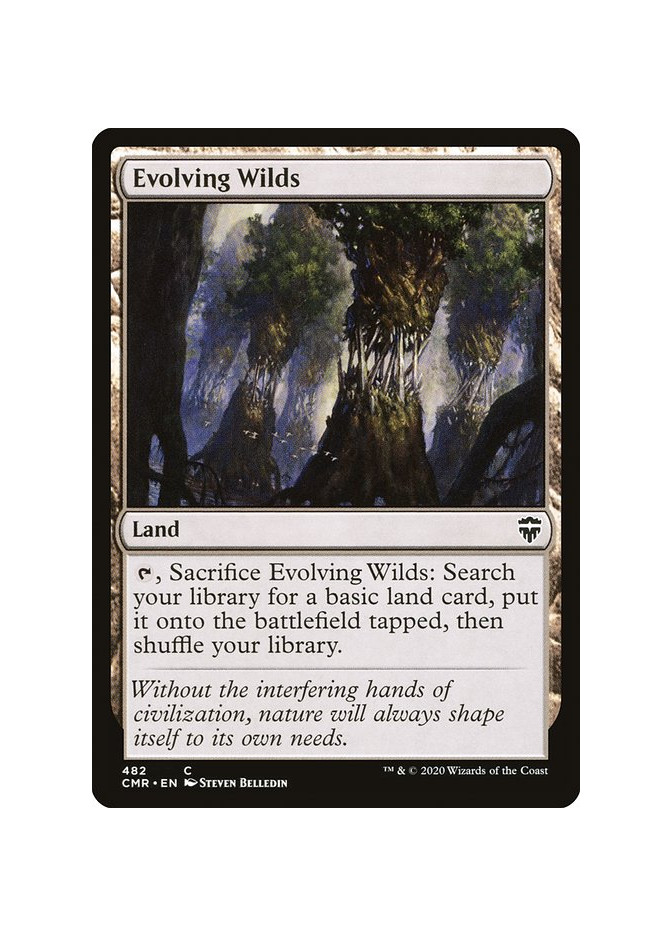 Evolving Wilds
