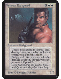 Veteran Bodyguard