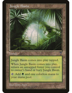 Jungle Basin