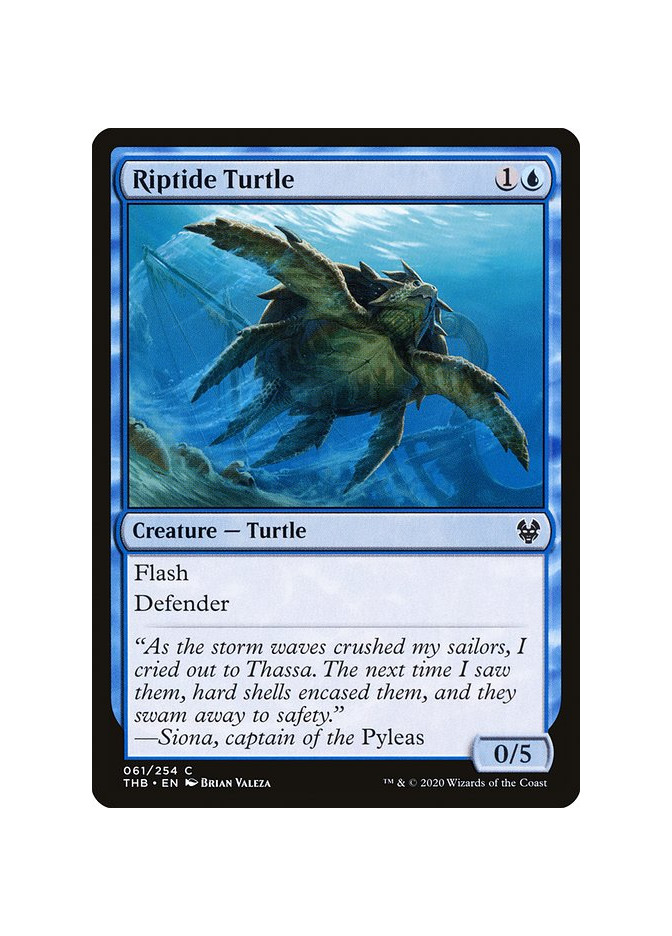 Riptide Turtle