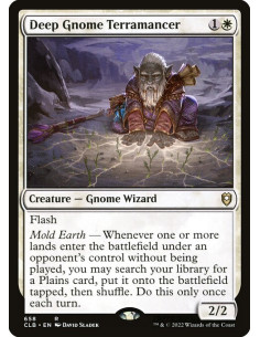 Deep Gnome Terramancer