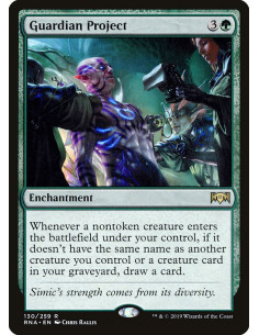 Guardian Project - Foil