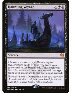 Haunting Voyage