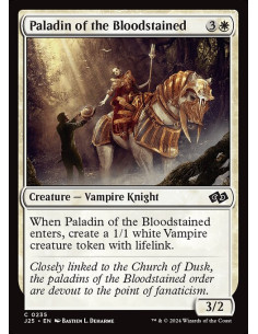 Paladin of the Bloodstained