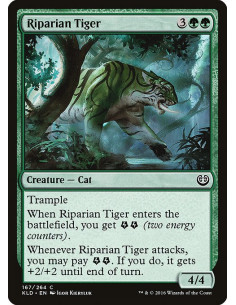 Riparian Tiger