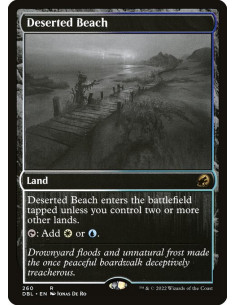 Deserted Beach - Foil