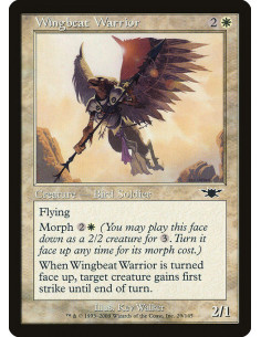 Wingbeat Warrior - Foil