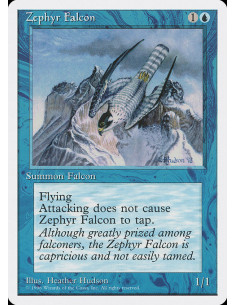 Zephyr Falcon