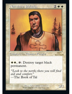 Northern Paladin