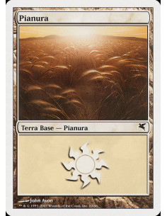 Plains