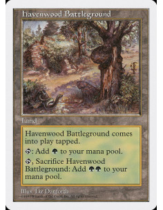 Havenwood Battleground