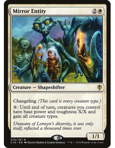 Mirror Entity