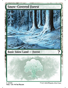 Snow-Covered Forest