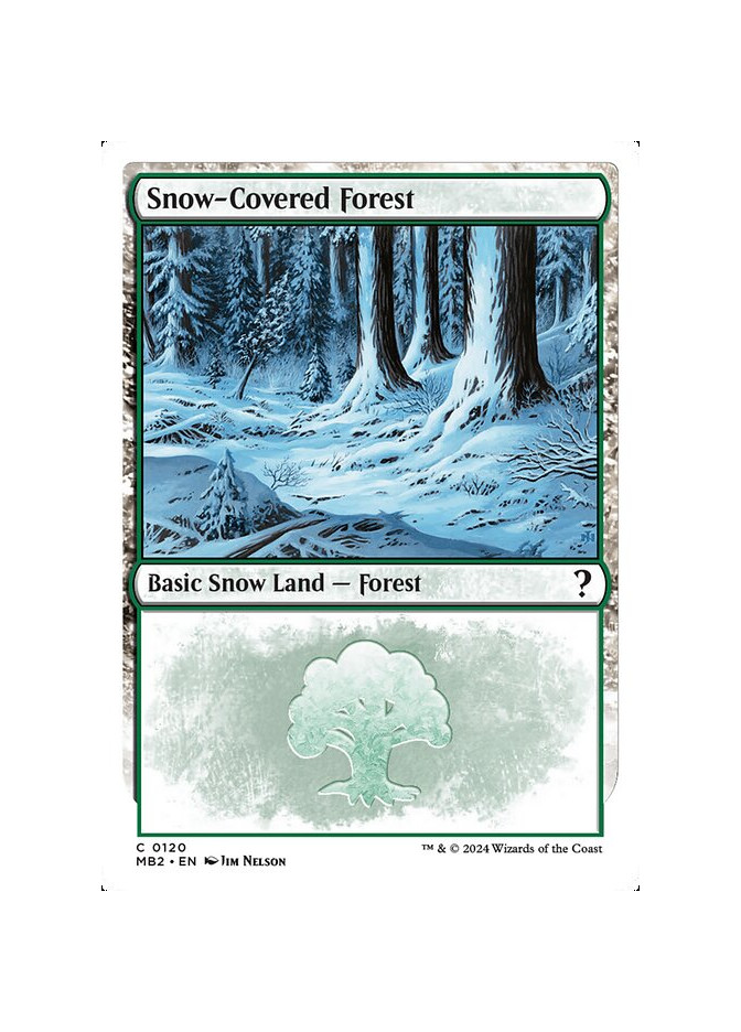 Snow-Covered Forest