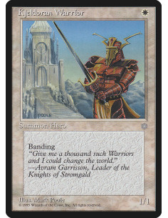 Kjeldoran Warrior