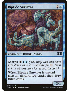 Riptide Survivor