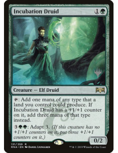 Incubation Druid