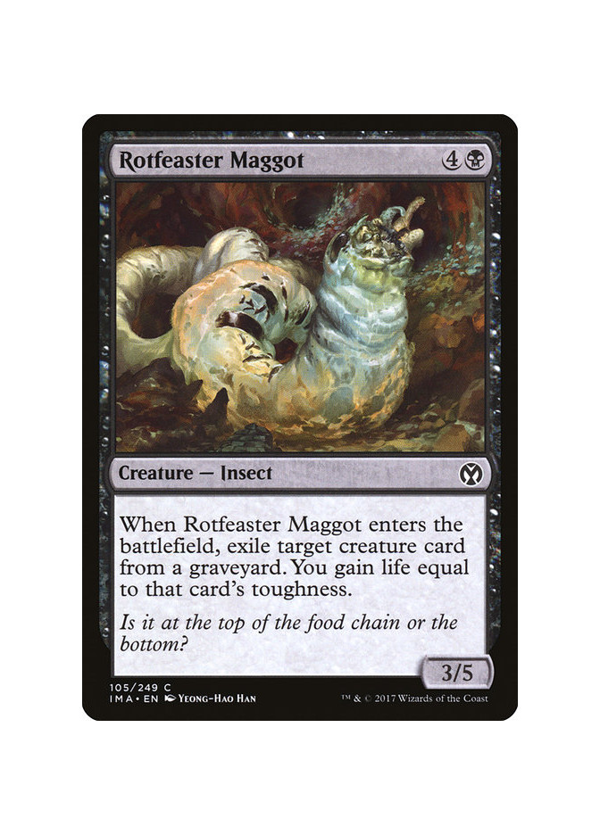 Rotfeaster Maggot