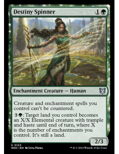 Destiny Spinner