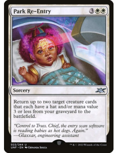 Park Re-Entry - Foil