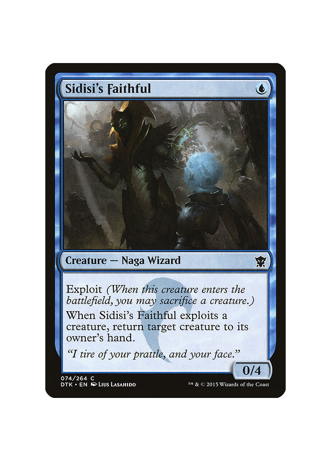 Sidisi's Faithful