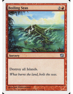Boiling Seas