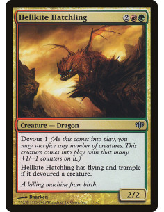 Hellkite Hatchling