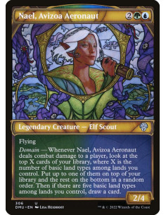 Nael, Avizoa Aeronaut - Foil