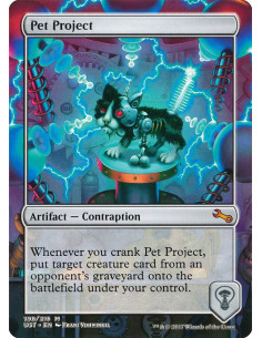 Pet Project - Foil