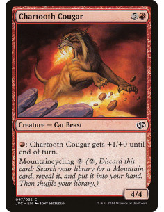 Chartooth Cougar