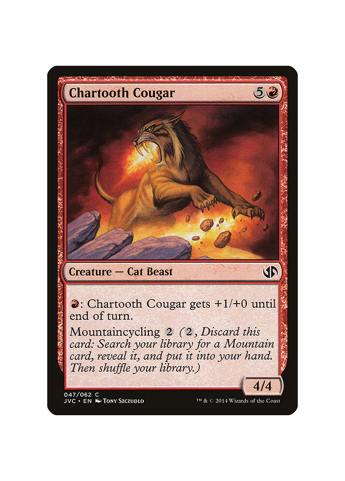 Chartooth Cougar