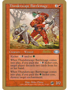 Thunderscape Battlemage