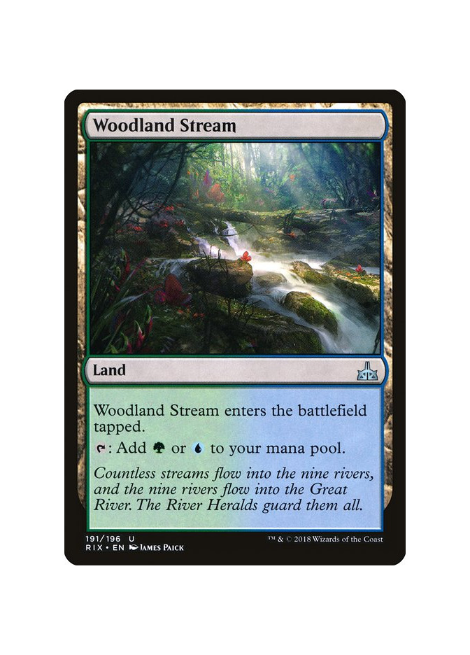Woodland Stream