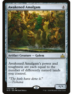 Awakened Amalgam