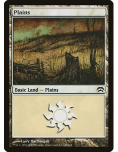 Plains