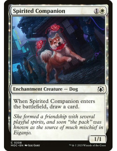 Spirited Companion