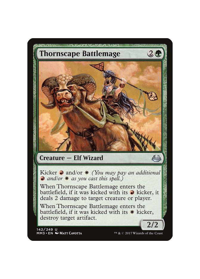 Thornscape Battlemage