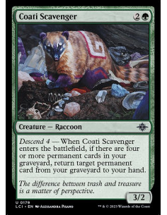 Coati Scavenger