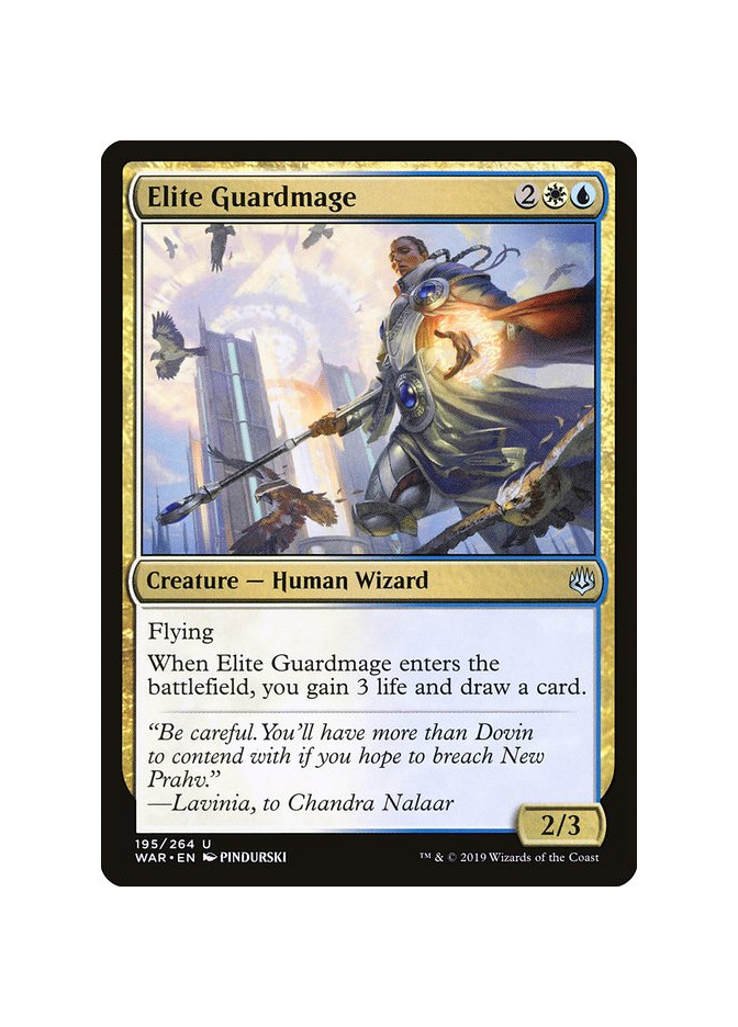 Elite Guardmage