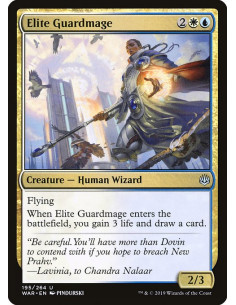 Elite Guardmage - Foil