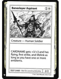 Baneslayer Aspirant