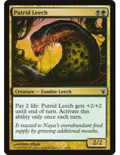 Putrid Leech