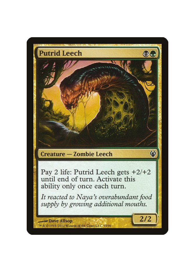 Putrid Leech