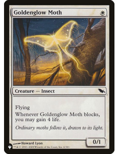 Goldenglow Moth